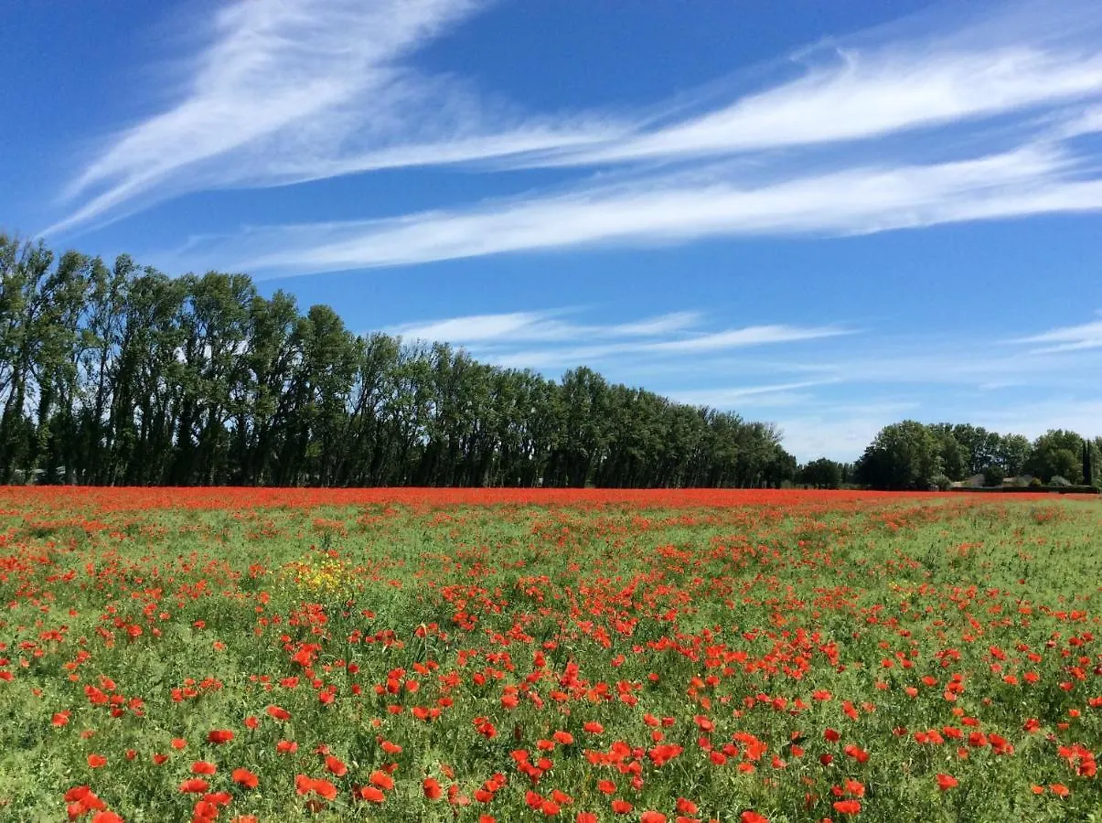 La Bergerie De Castellan Bed & Breakfast Verquieres